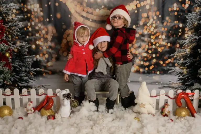Décor La forêt enchantée, séance photo de Noël près de Voiron